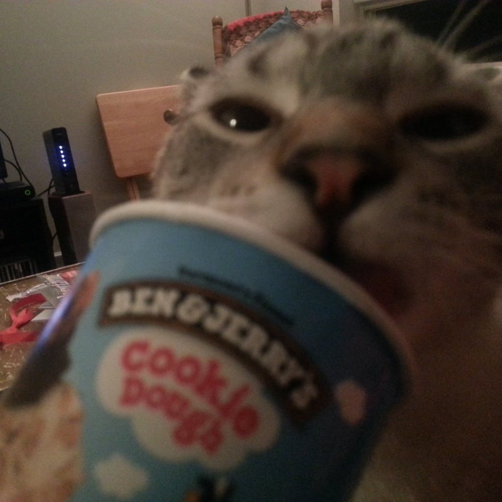 Meet your Posher, Gayla